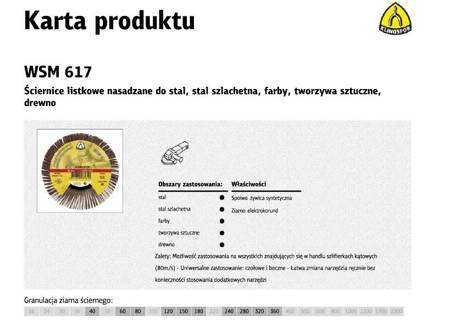 KLINGSPOR ŚCIERNICA LISTKOWA NASADZANA 125mm WSM617 gr. 40