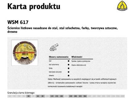 KLINGSPOR ŚCIERNICA LISTKOWA NASADZANA 125mm WSM617 gr. 80